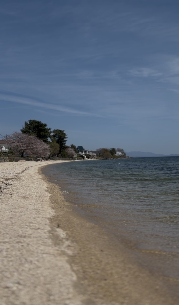 今シーズンも宜しくお願い致します！GWは毎日営業します🌴